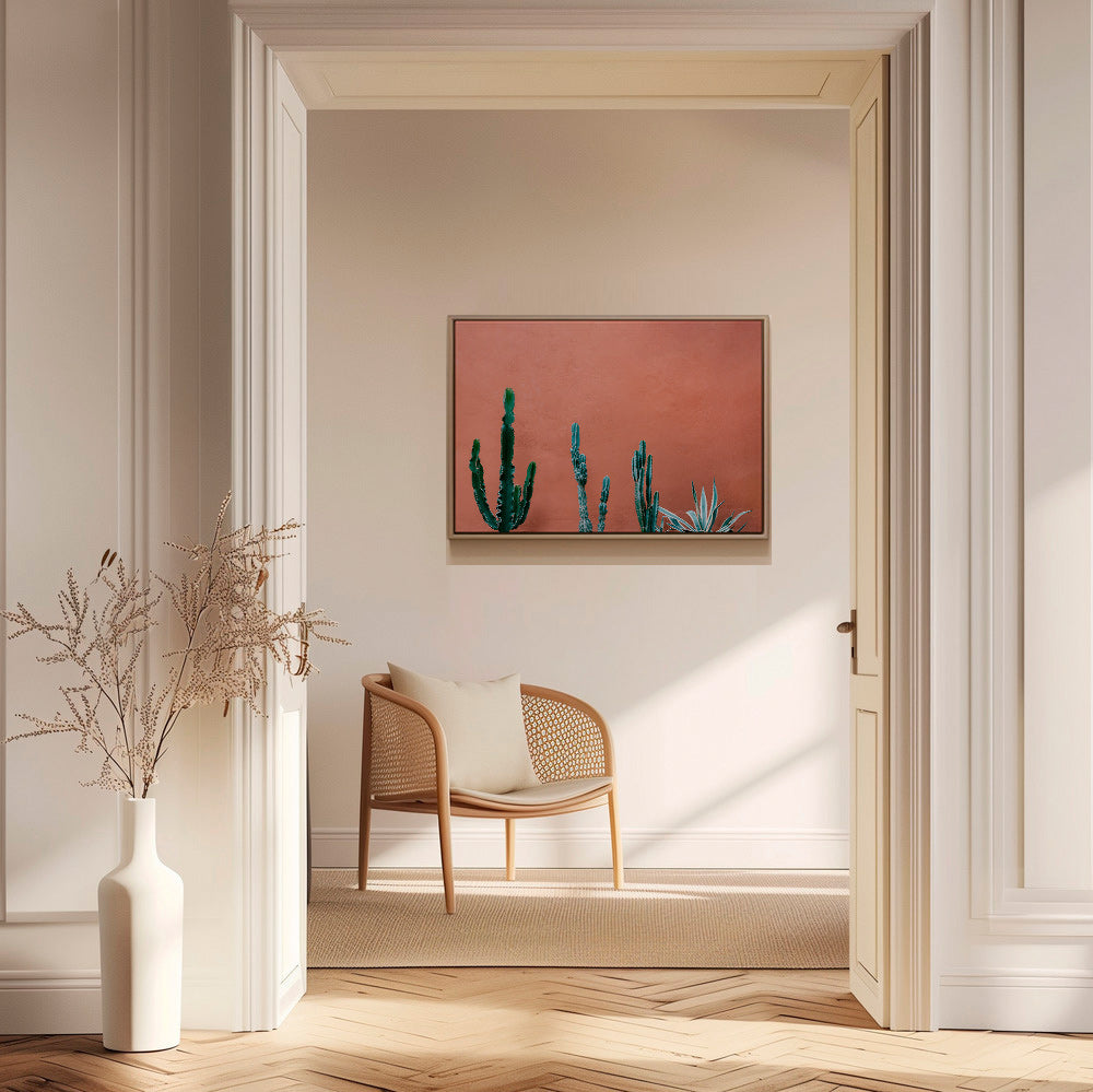 Botanischer Druck: Kakteen an Terrakottawand – Canvas1