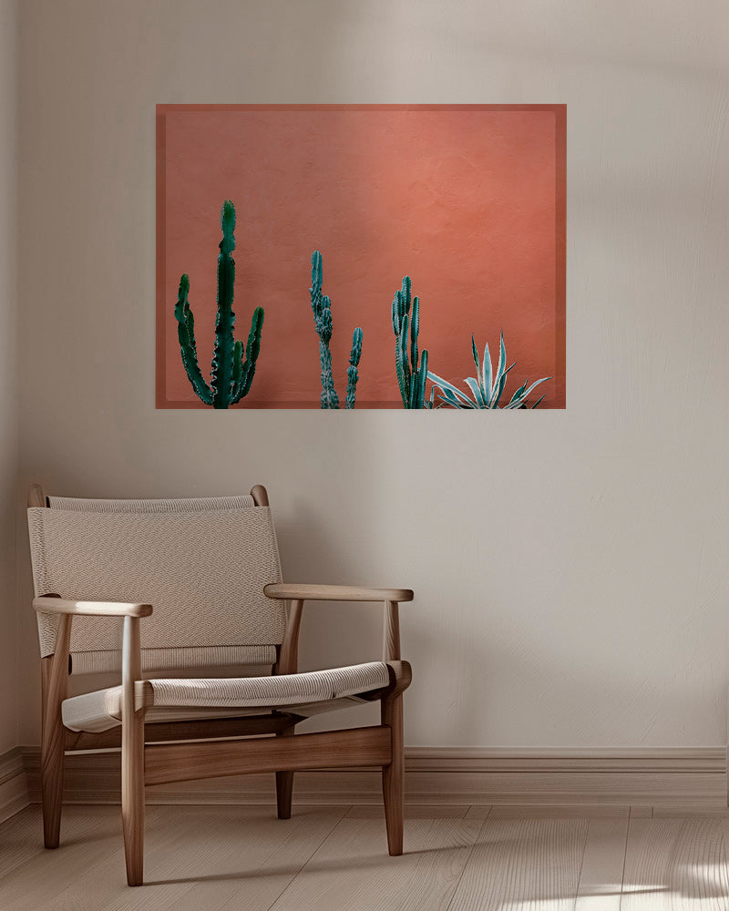 Botanischer Druck: Kakteen an Terrakottawand – Canvas