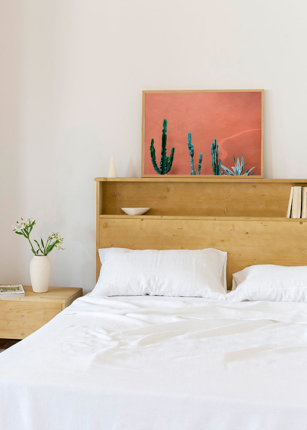 Botanischer Druck: Kakteen an Terrakottawand – Product3
