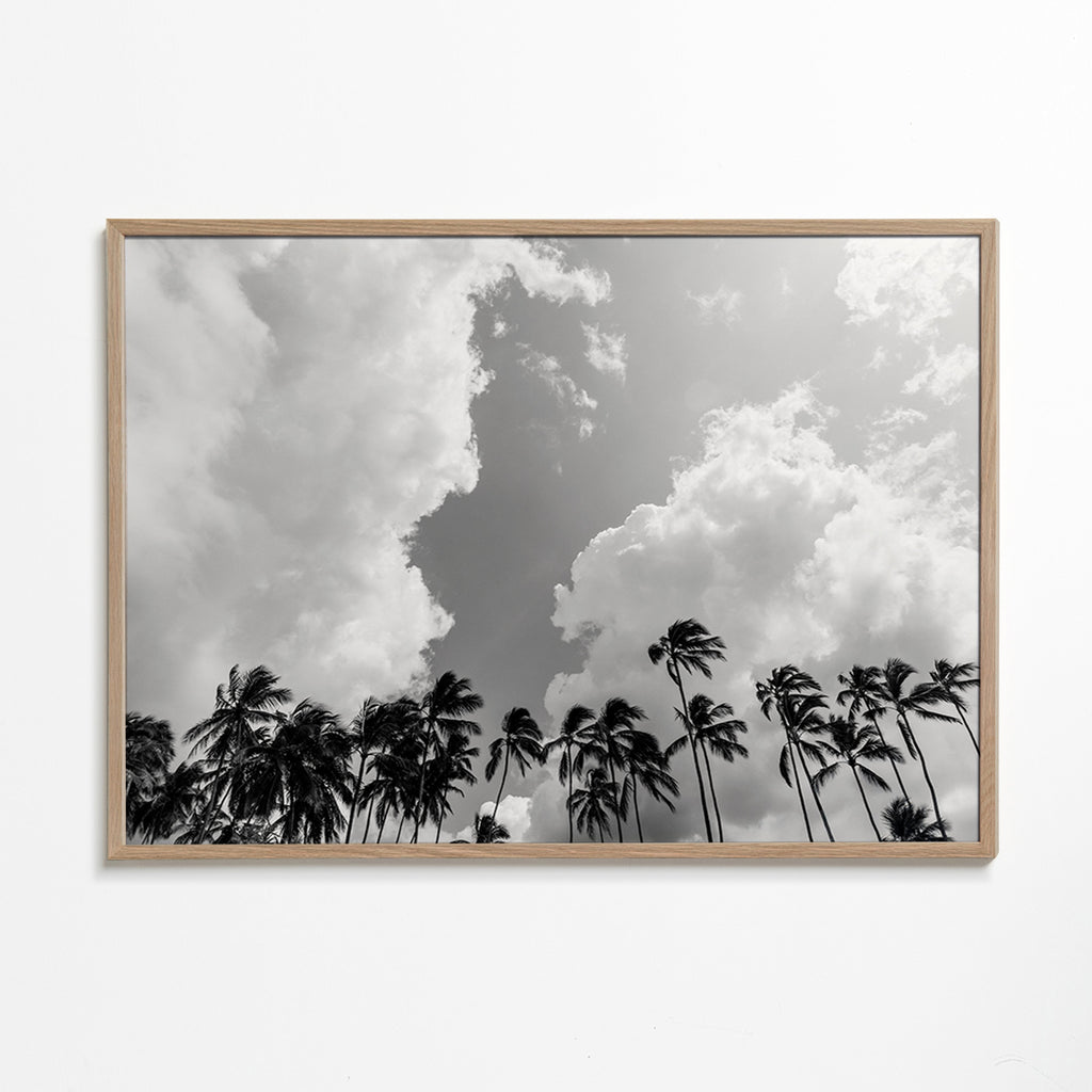 Landschaftskunst mit Palmen und dramatischem Himmel – Oak Frame