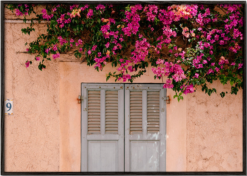 Botanischer Druck: Bougainvillea an alter Tür – Black Frame