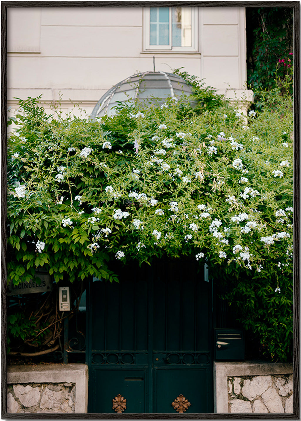 Botanischer Druck mit weißer Rankpflanze am Eingang – Black Frame