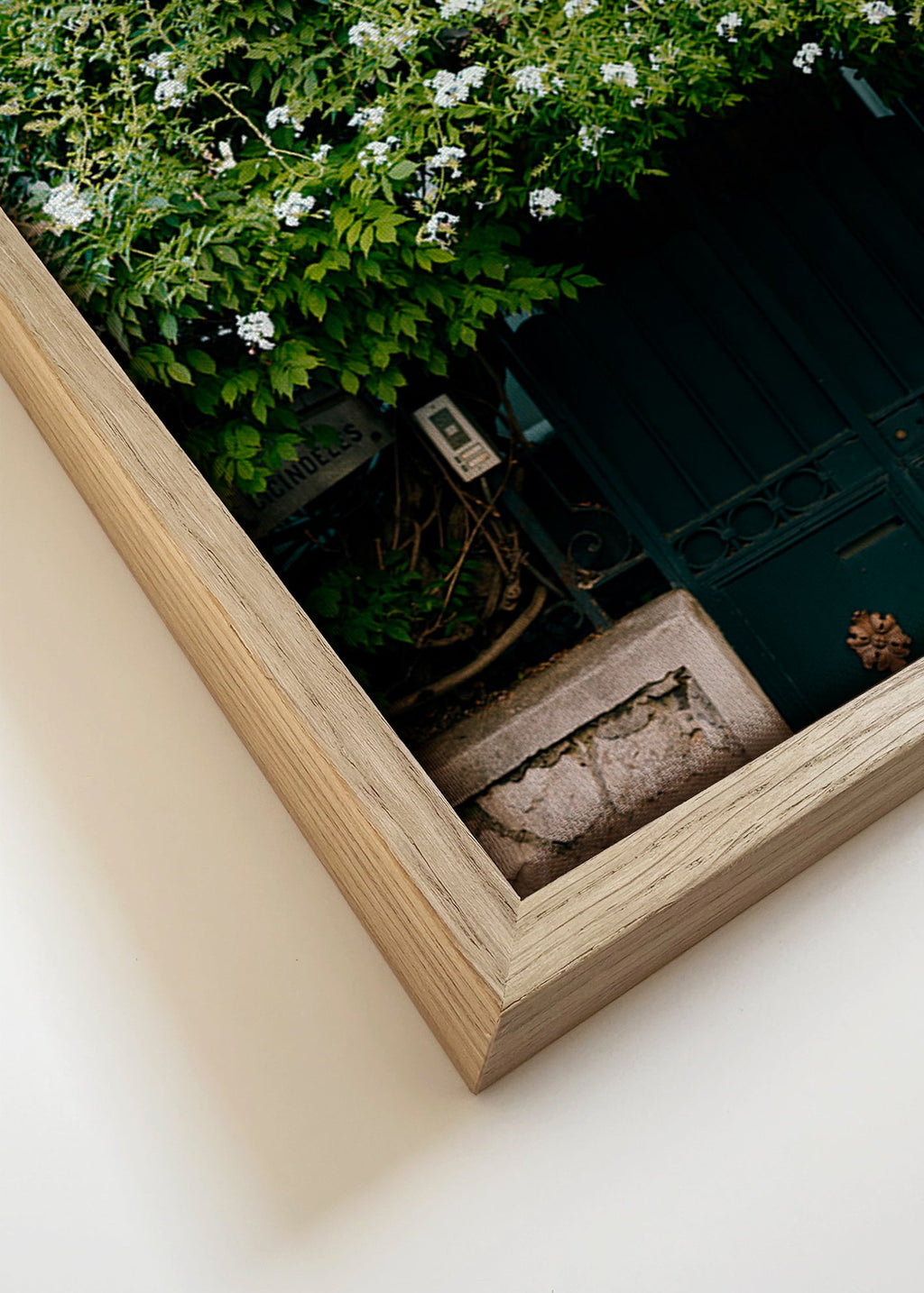 Botanischer Druck mit weißer Rankpflanze am Eingang – Canvas detail