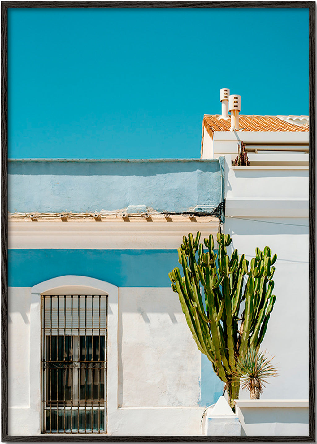 Botanischer Druck: mediterrane Fassade mit Kaktus – Black Frame
