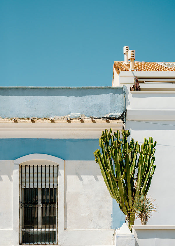 Botanischer Druck: mediterrane Fassade mit Kaktus