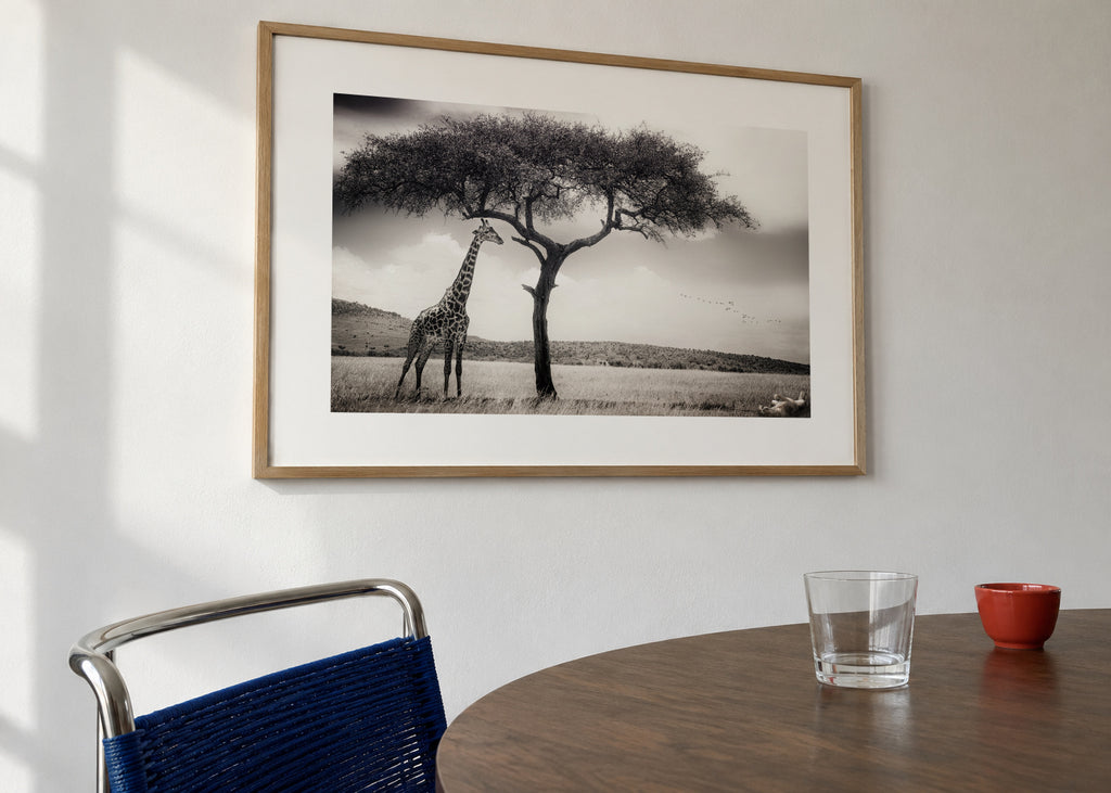 under the African sun - Framed poster in an interior