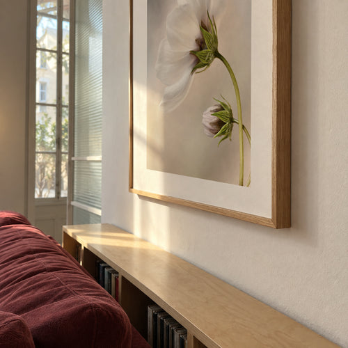 Heavenly Cosmos - Framed poster in an interior
