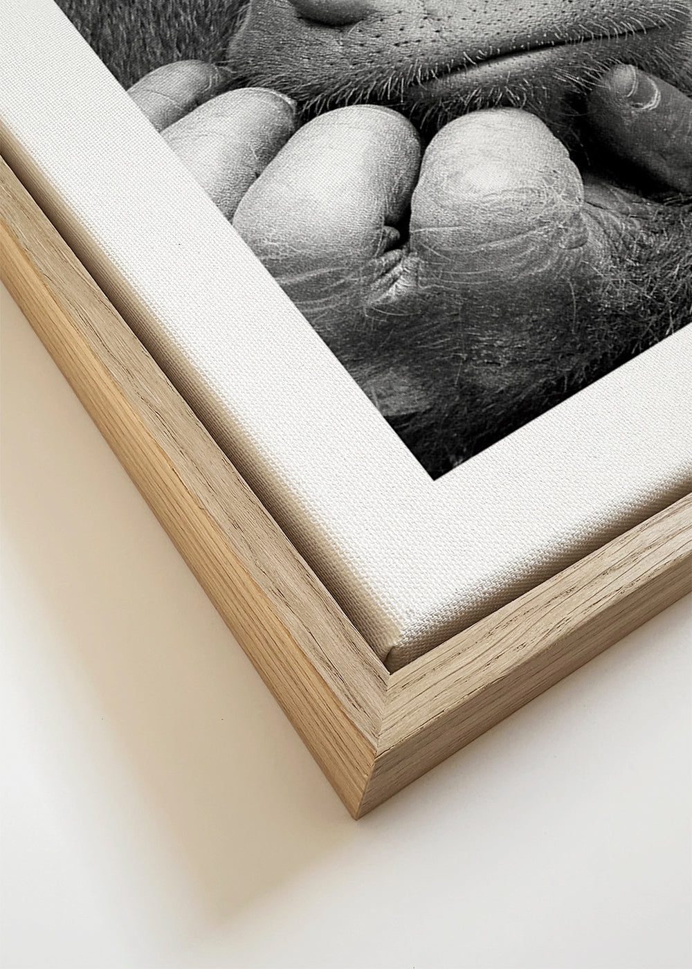 I had a Dream - Antje Wenner-Braun