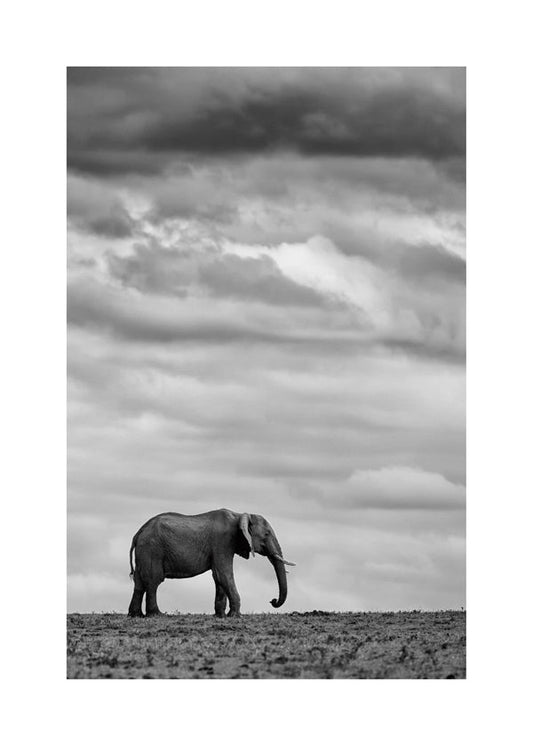 Elephant Landscape 2 - Mario Moreno