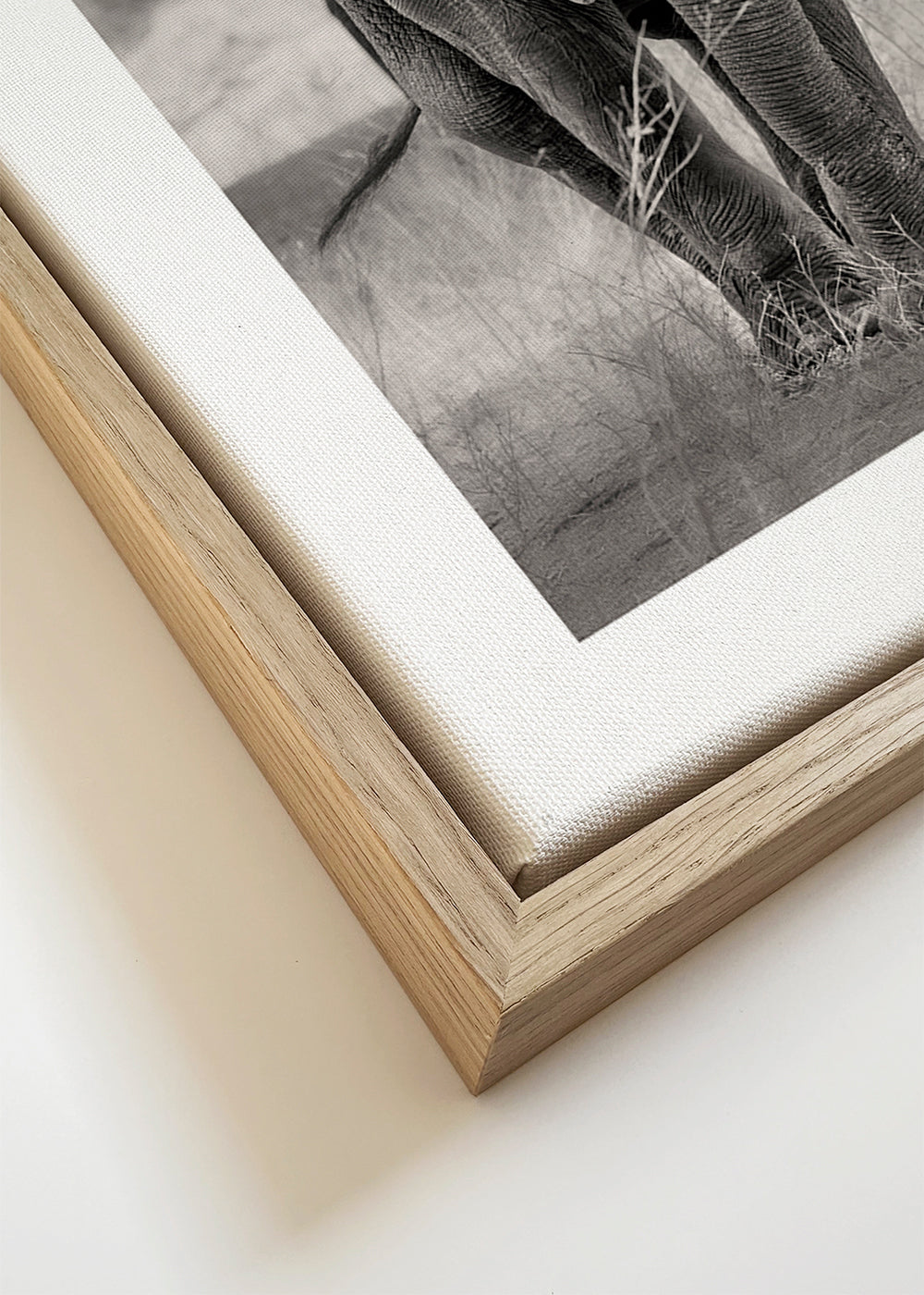 Coming - Alessandro Catta