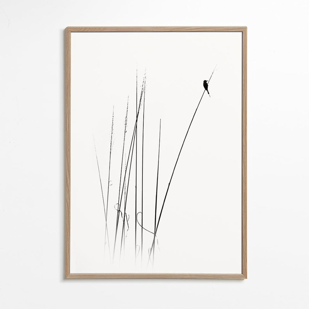 a sabbatical - swapnil.