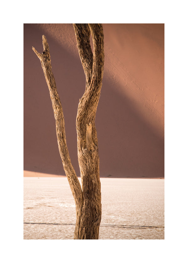 Time textures - Linda Wride