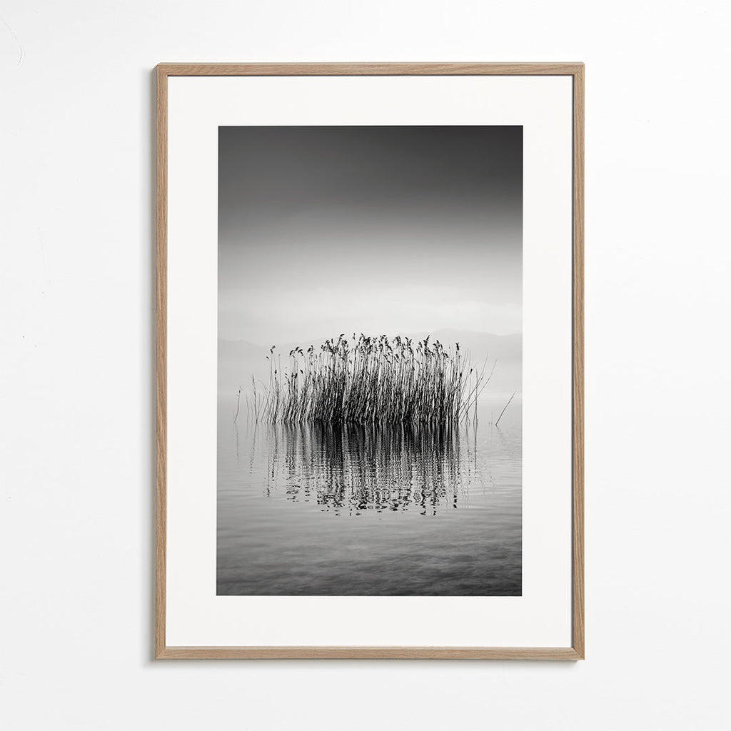 Black and White Silence - George Digalakis