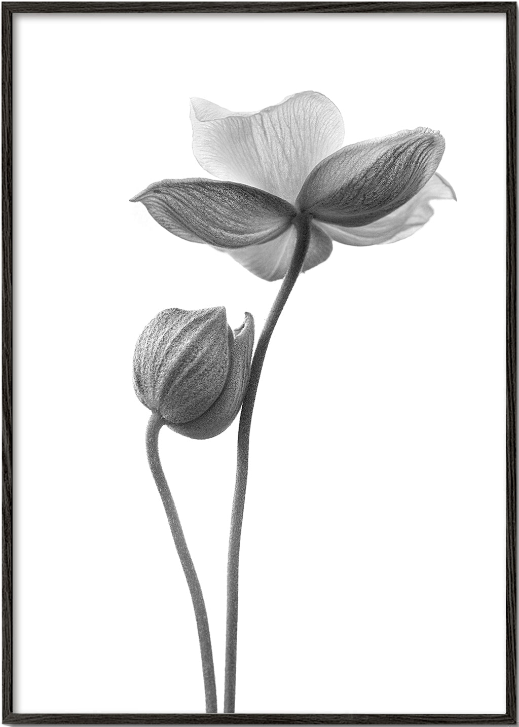 A little touch  monochrome - Lotte Grønkjær