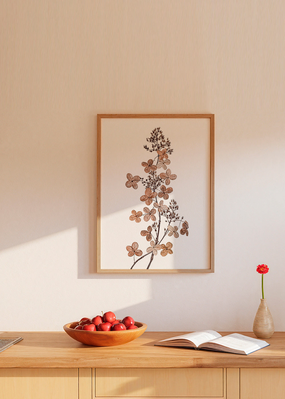 Hydrangea Paniculata - Mandy Disher