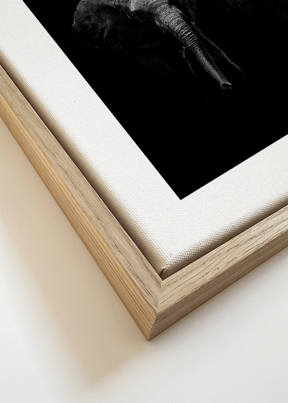 Mother and Child - WildPhotoArt