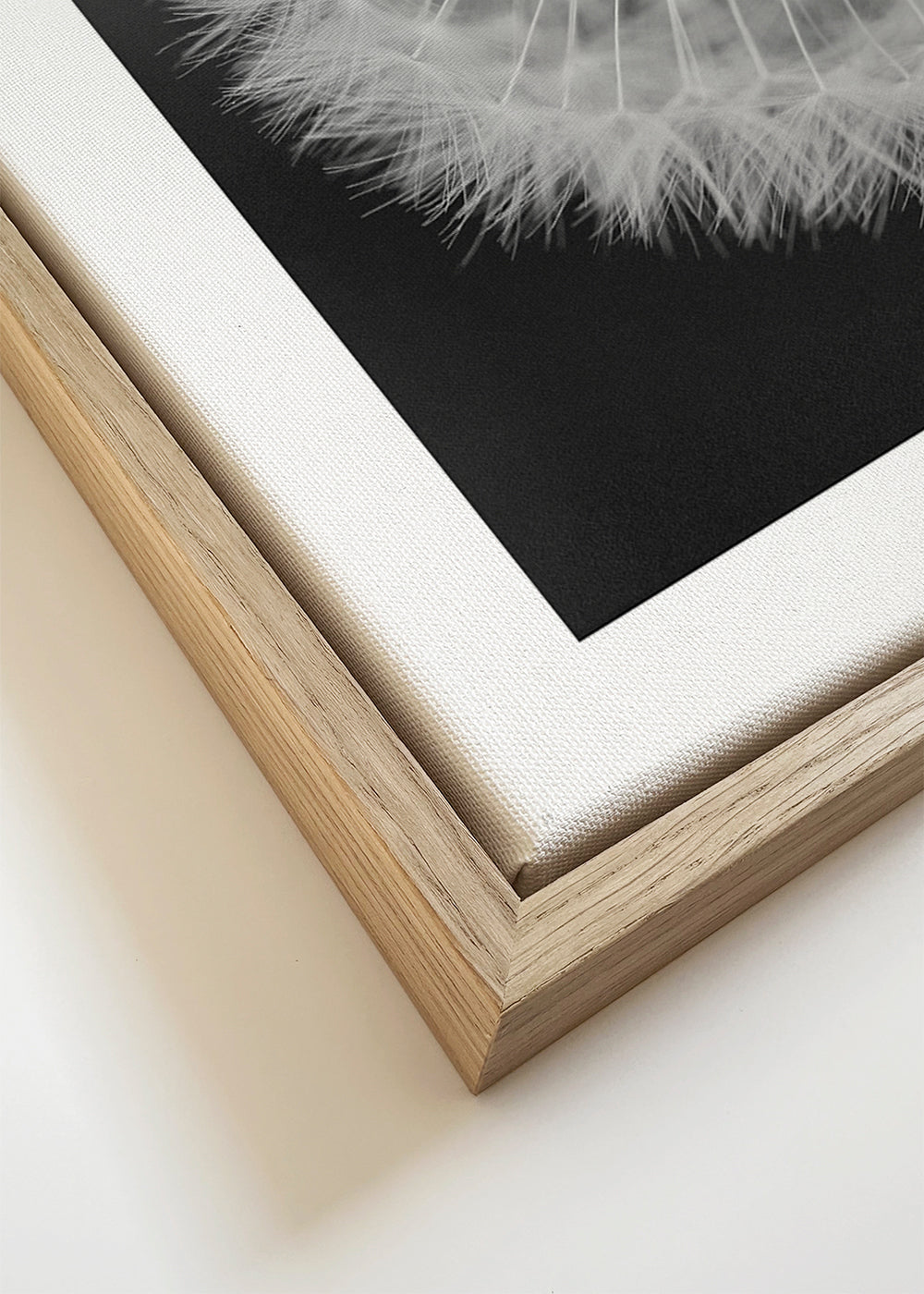 Dandelion - Bess Hamiti