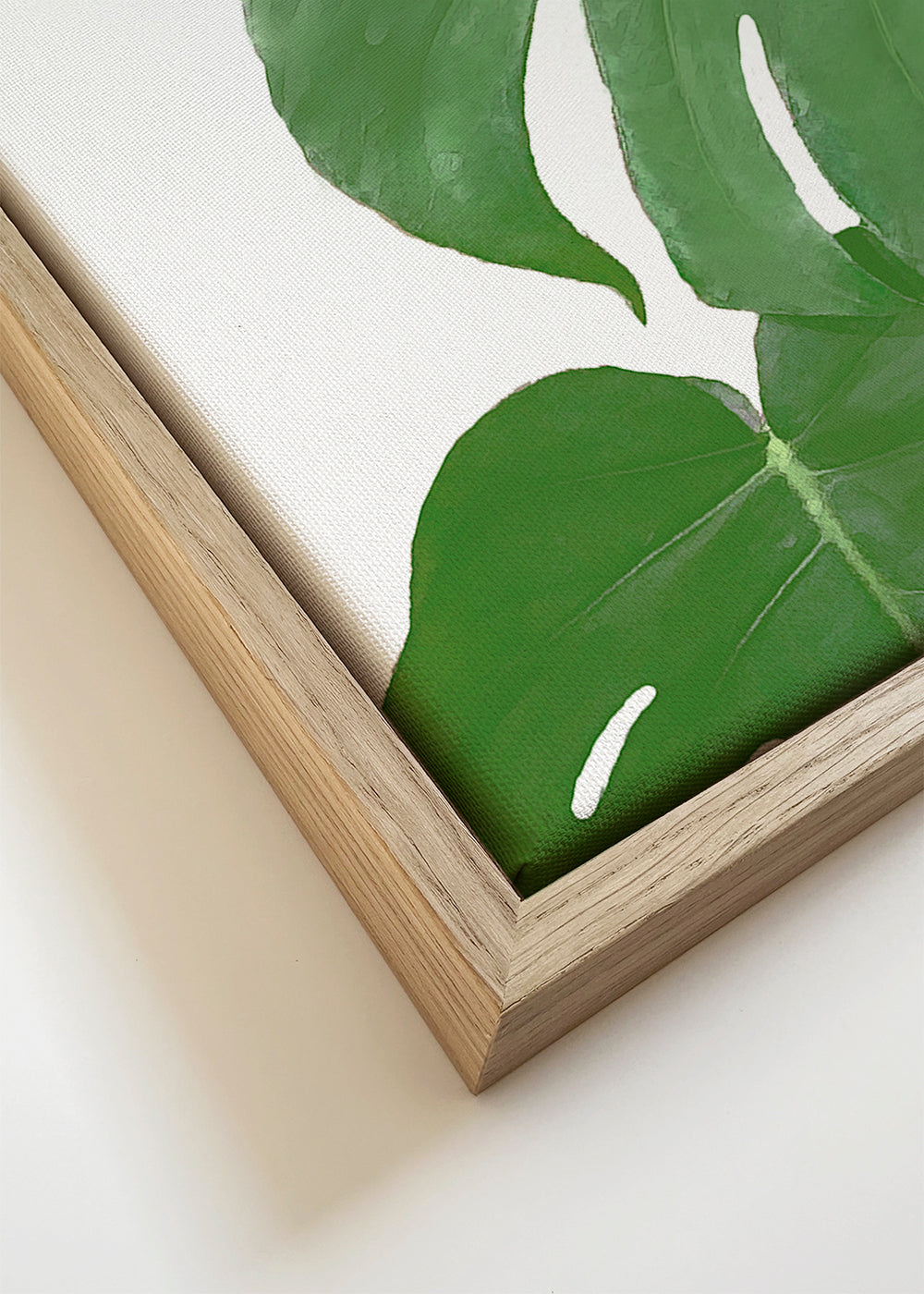 Monstera Green 03 - 1x Studio II