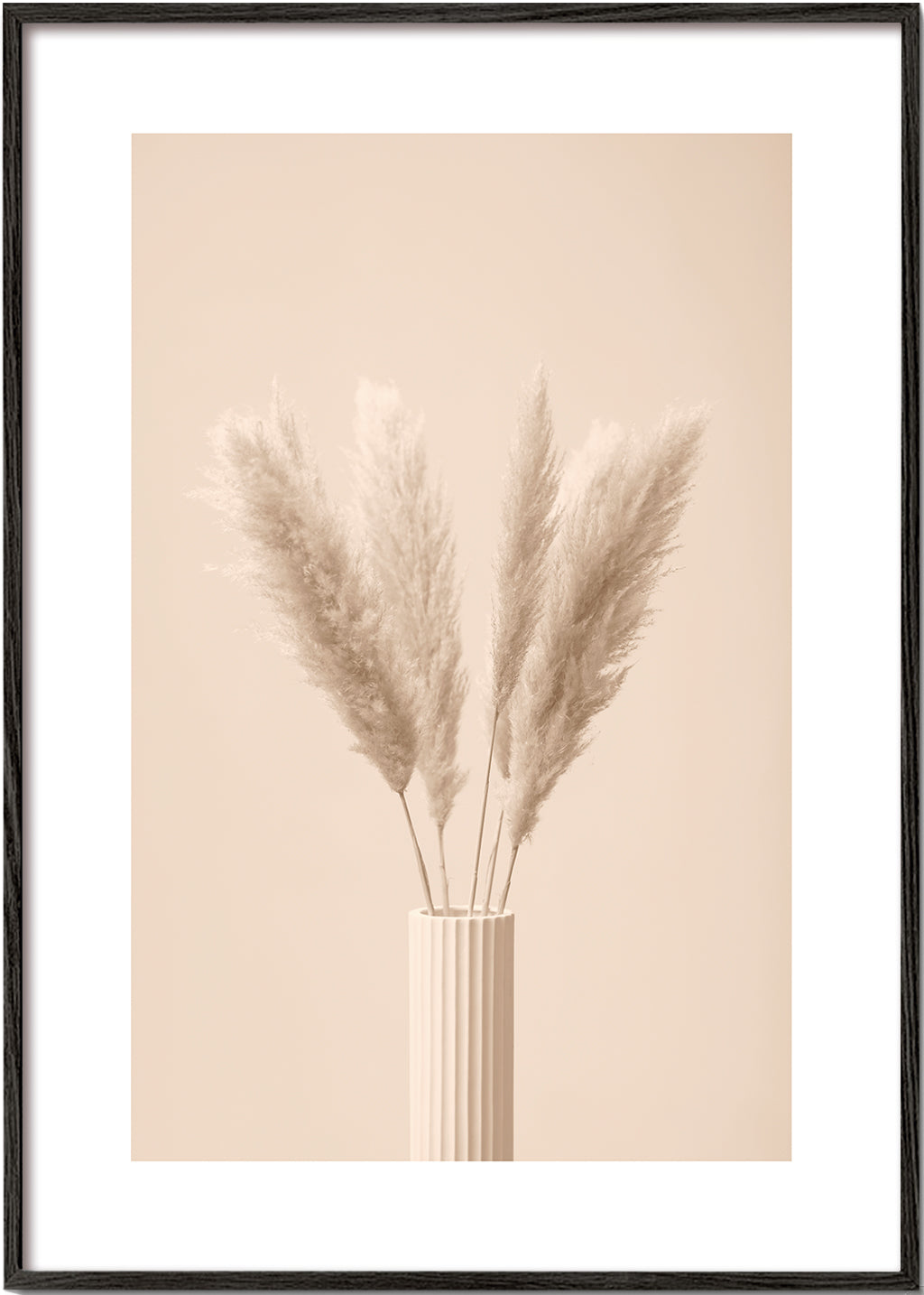 Pampas Grass Beige 11 - 1x