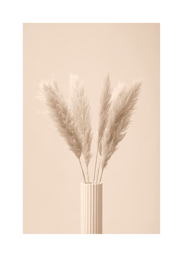 Pampas Grass Beige 11 - 1x