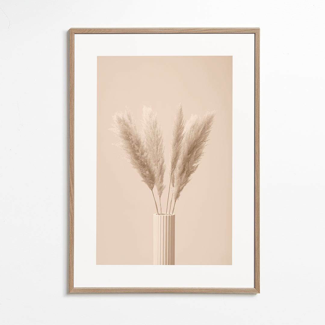 Pampas Grass Beige 11 - 1x