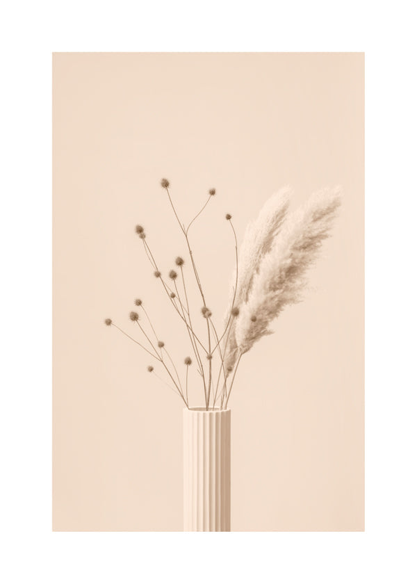 Thistle a Pampas Beige - 1x