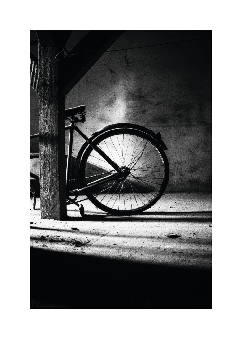 No. 315 - Unframed art print