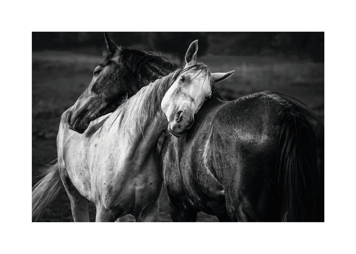 Warm rain - Unframed art print