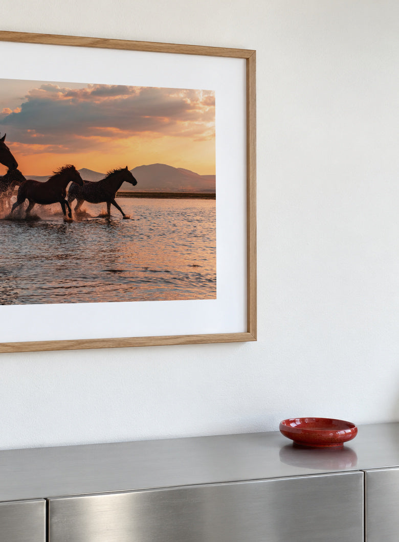 WATER HORSES - Framed poster detail