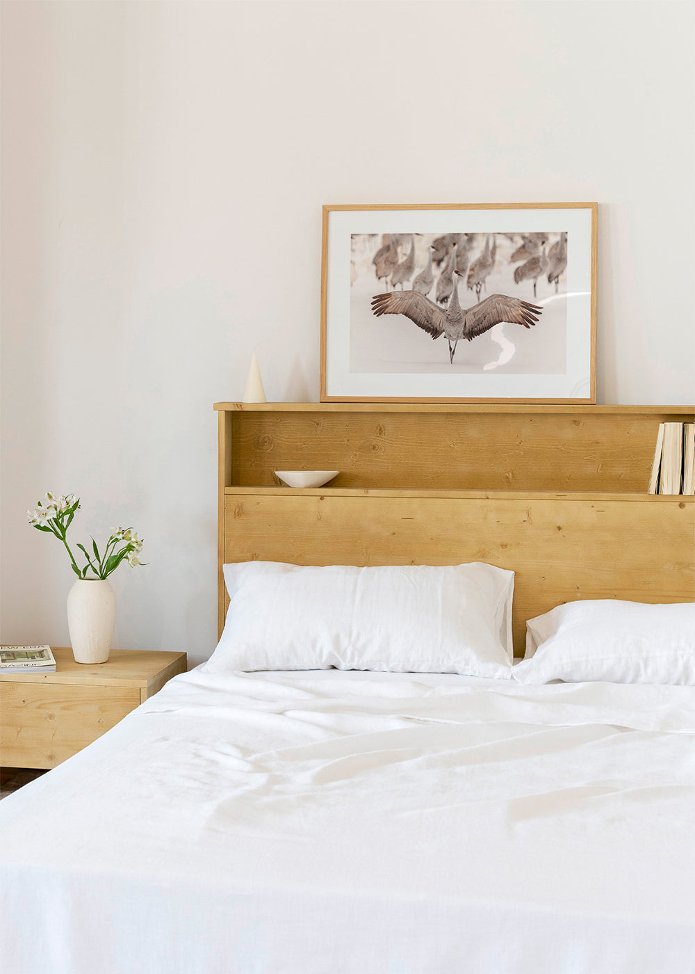 King - Qingsong Wang