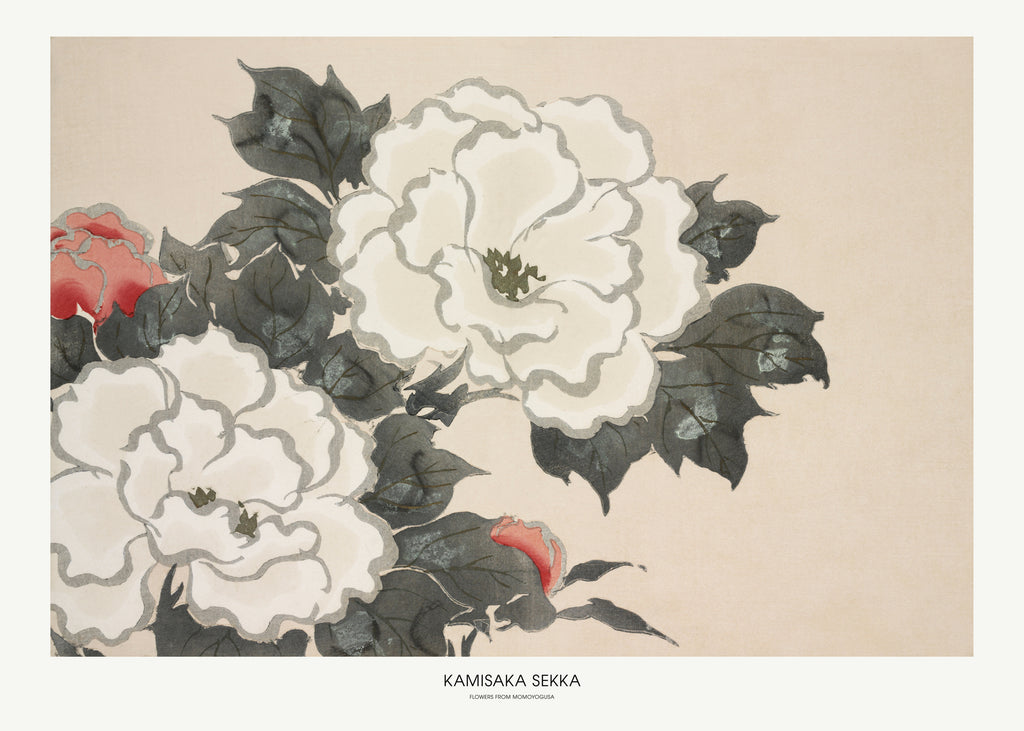 Flowers From Momoyogusa - Unframed art print