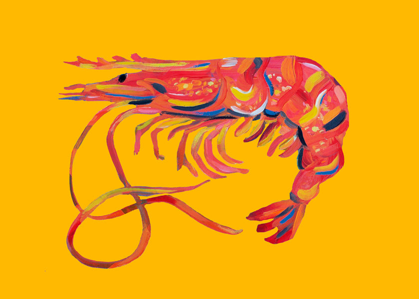 Prawn On Yellow - Alice Straker