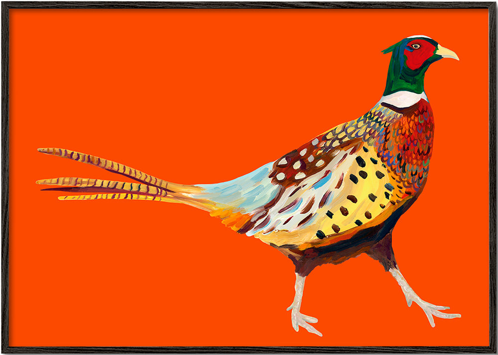 Strutting Pheasant On Orange - Alice Straker