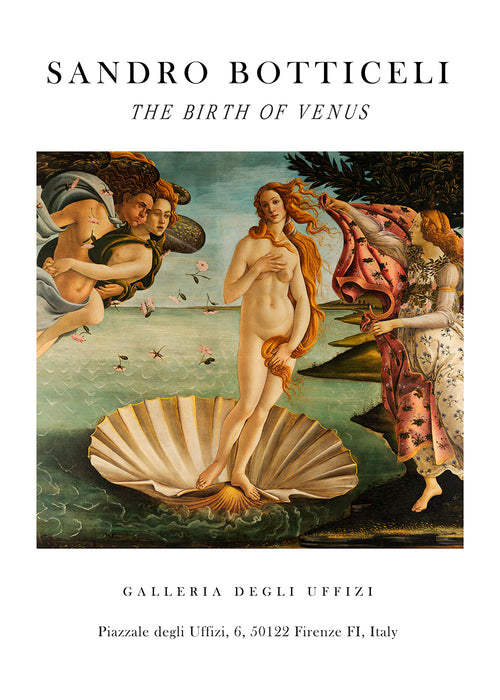 La Nascita di Venere Exhibition White - Sandro Botticelli