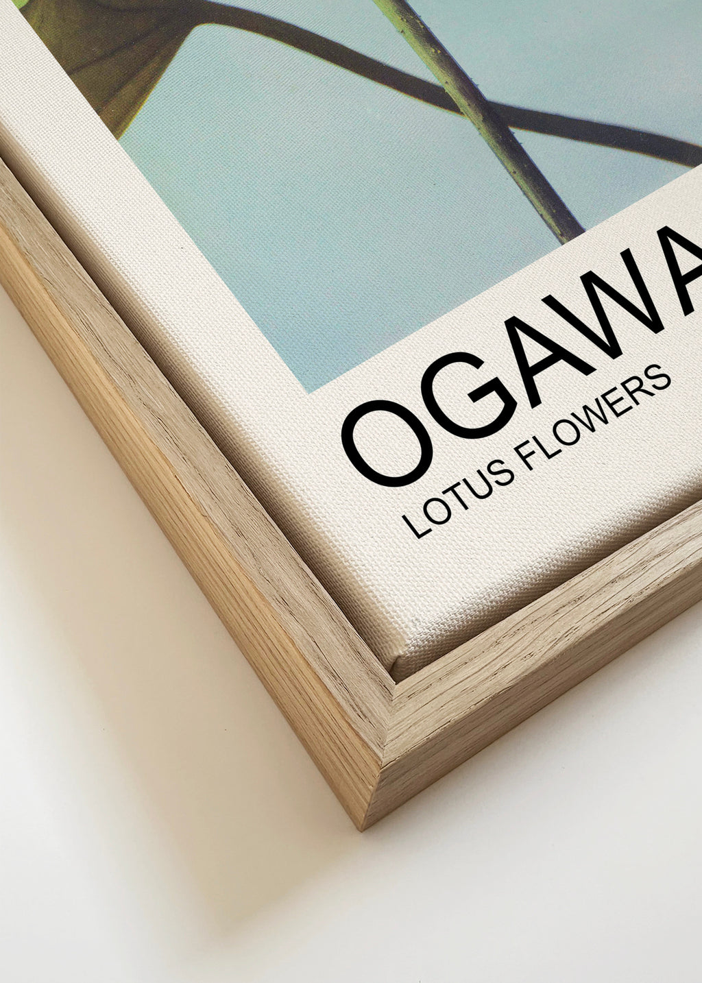 Lotus Flowers (Special Edition) - Ogawa Kazumasa - Framed canvas detail