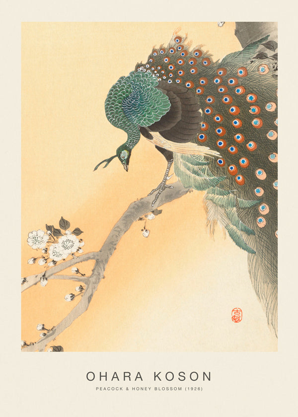 Peacock & Honey Blossom (Special Edition) - Ohara Koson