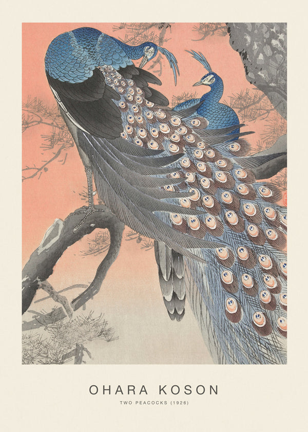 Two Peacocks (Special Edition) - Ohara Koson