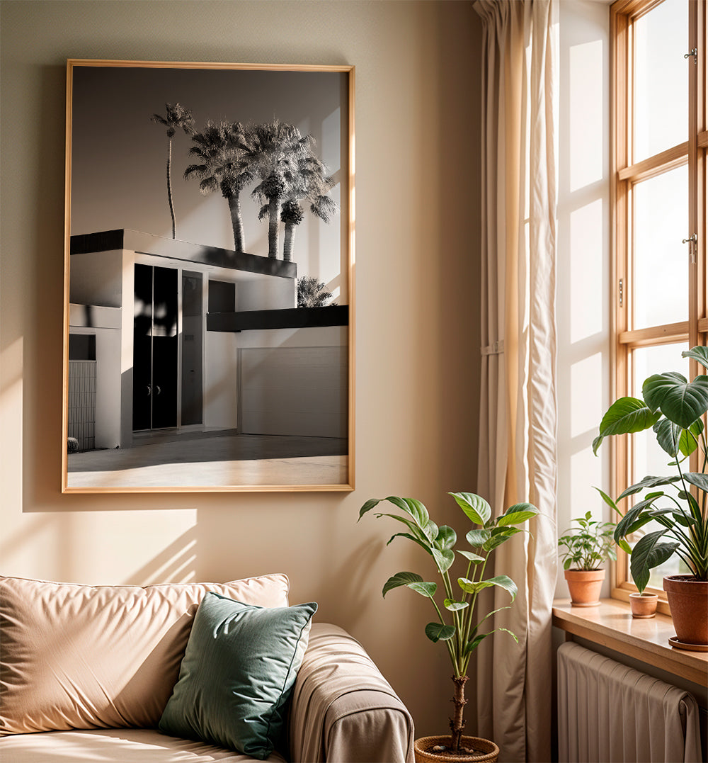 Black California - Palm Springs Modern Design