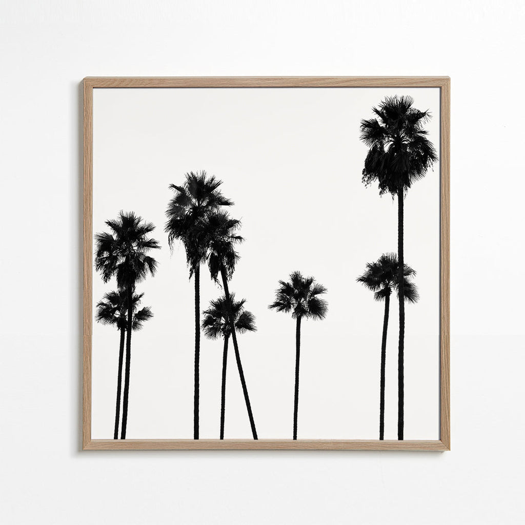 Black California - Palm Trees L.A II