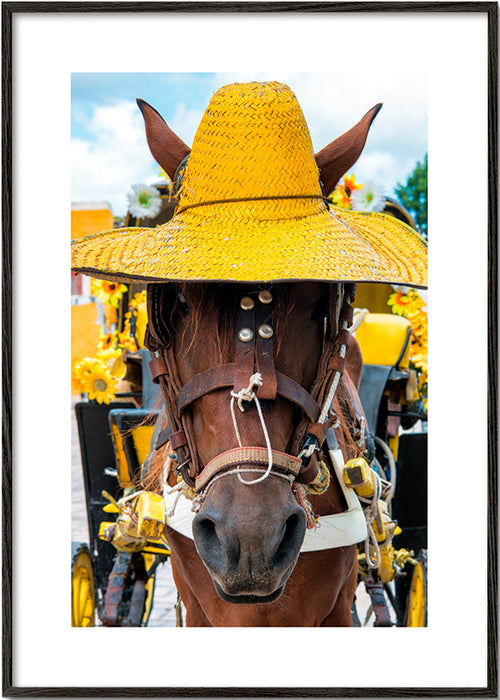 Pferd mit gelbem Hut – Black Frame