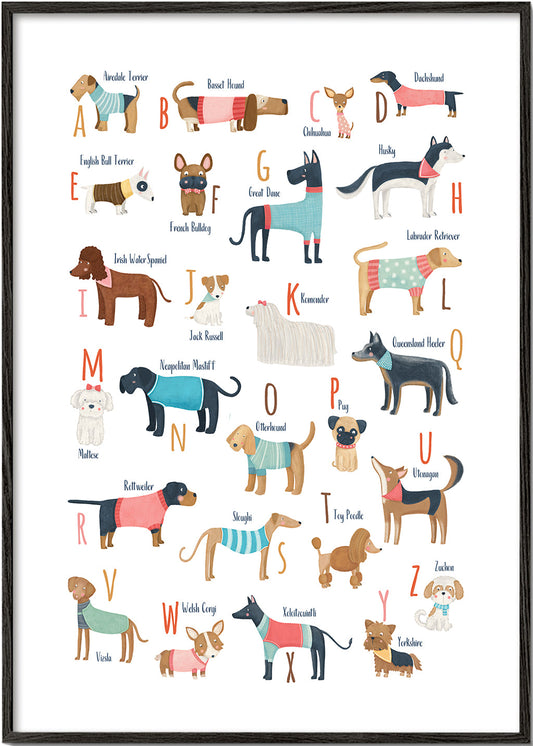 Alphabet Dogs Breed