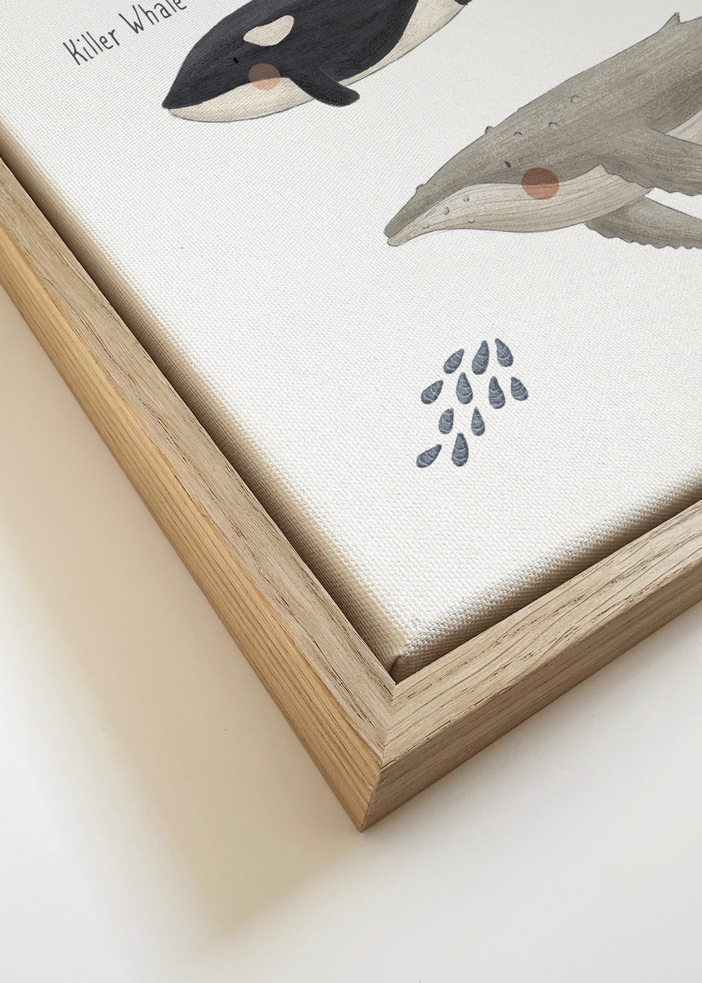Ballenas fondo blanco (inglés) - Framed canvas detail