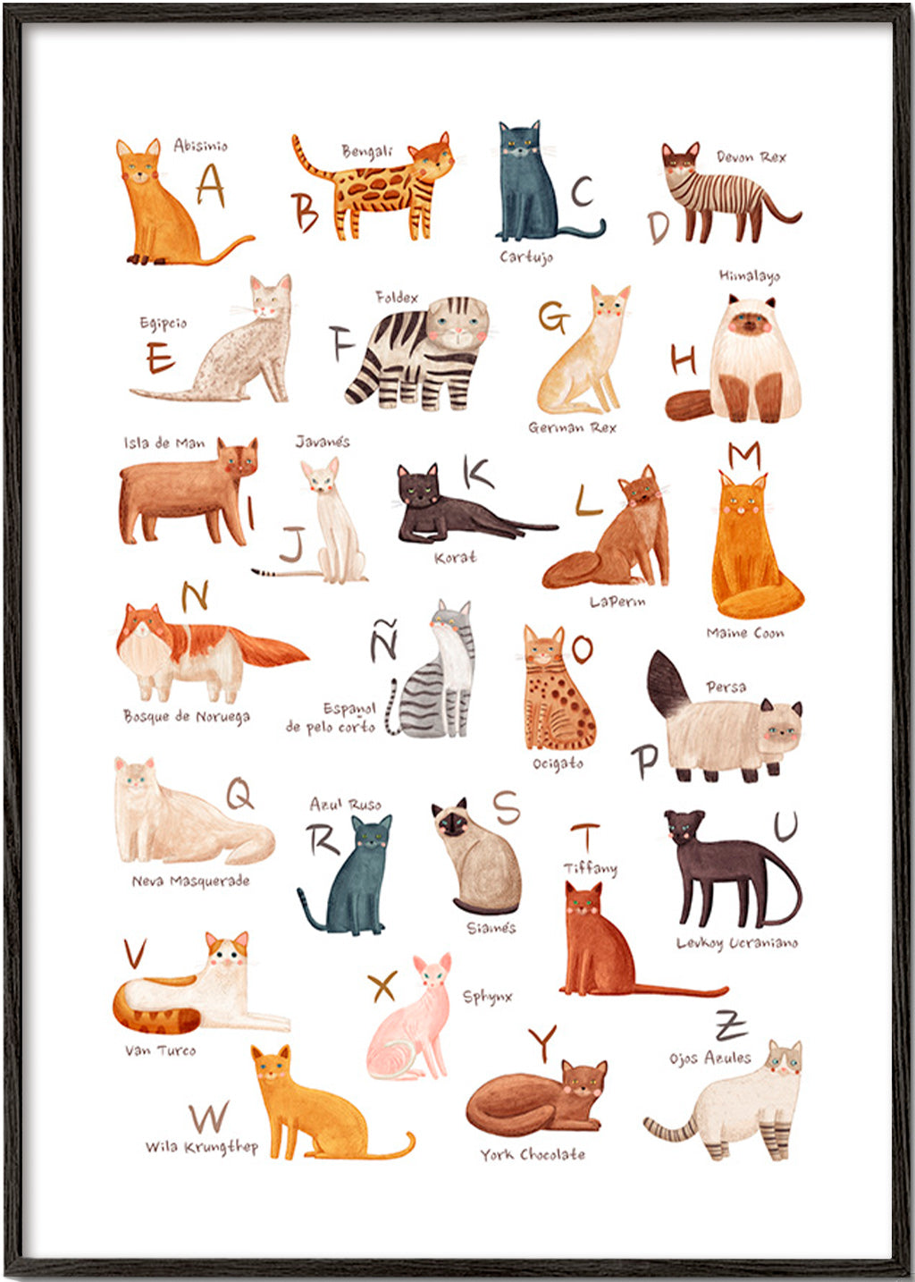 Kinderbild: Illustriertes Katzenalphabet