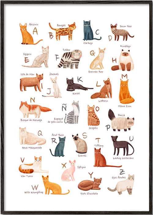 Kinderbild: Illustriertes Katzenalphabet