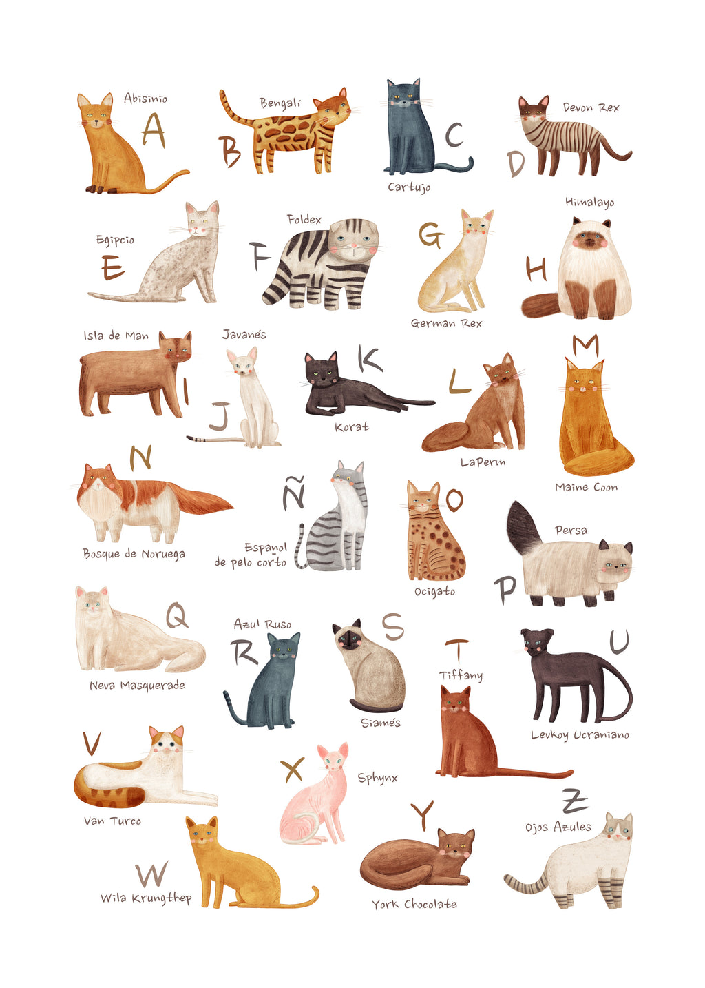 Abecedario gatos (español) - Unframed art print
