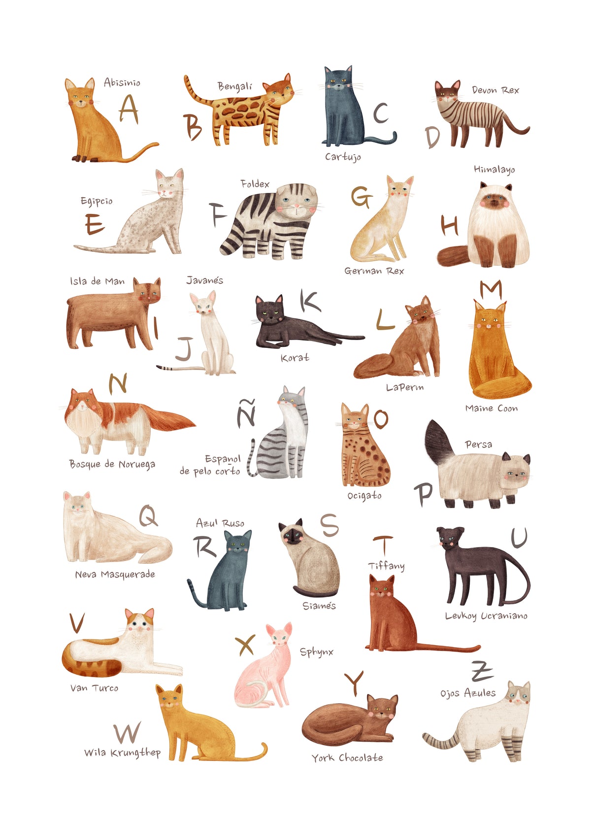 Abecedario gatos (español) - Unframed art print