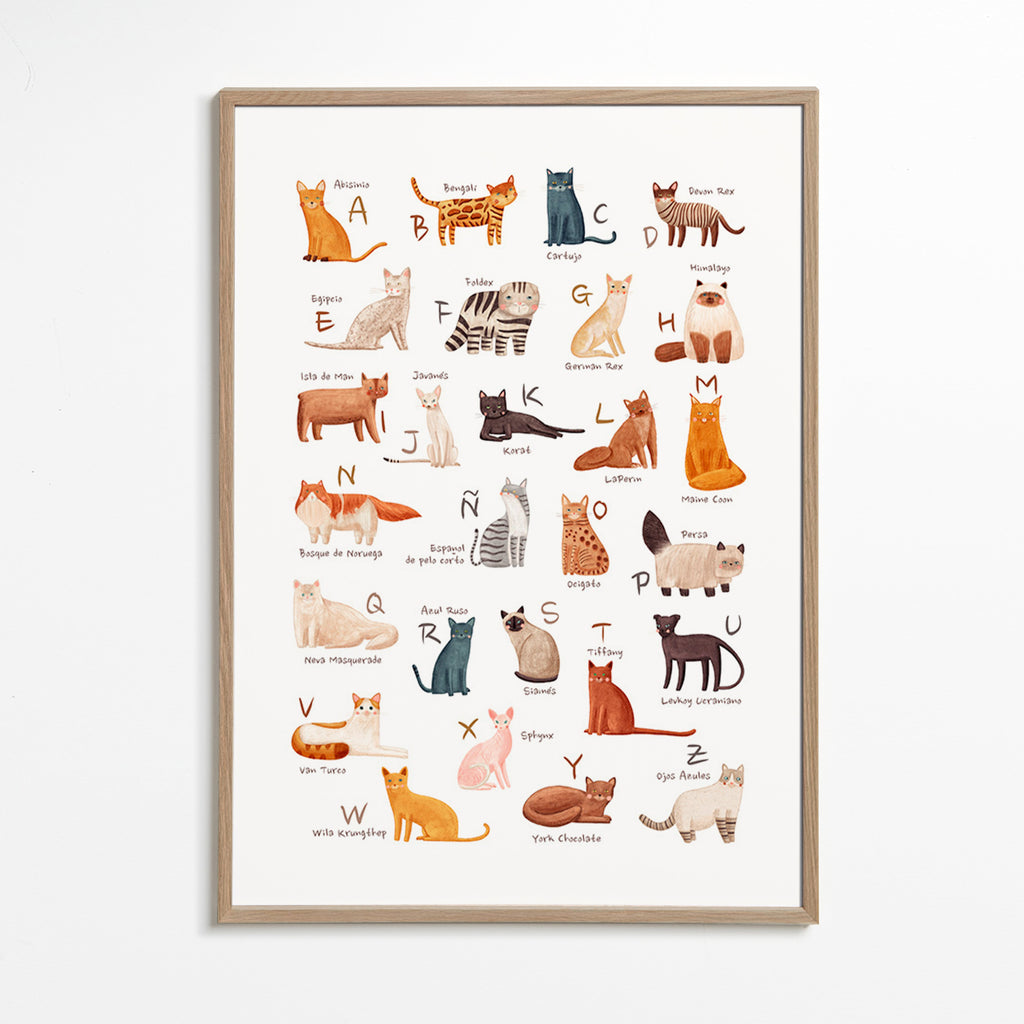 Kinderbild: Illustriertes Katzenalphabet