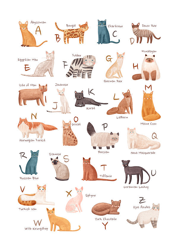 Kinderbild: Katzen-Alphabet Illustration