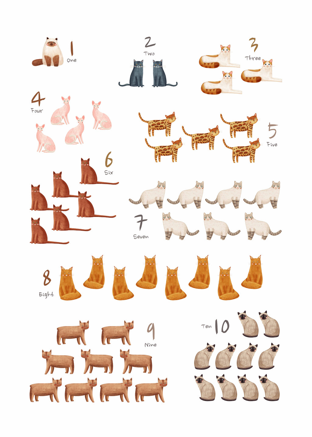 Números de 1 al 10 gatos (ingles) - Unframed art print