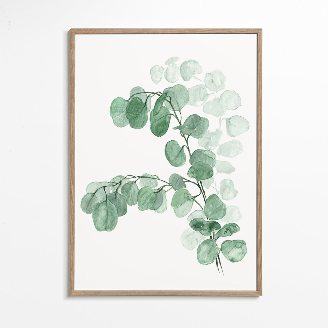 Watercolor silver dollar eucalyptus